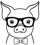 Little Legs Farm Louisville