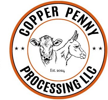 Copper Penny Processing