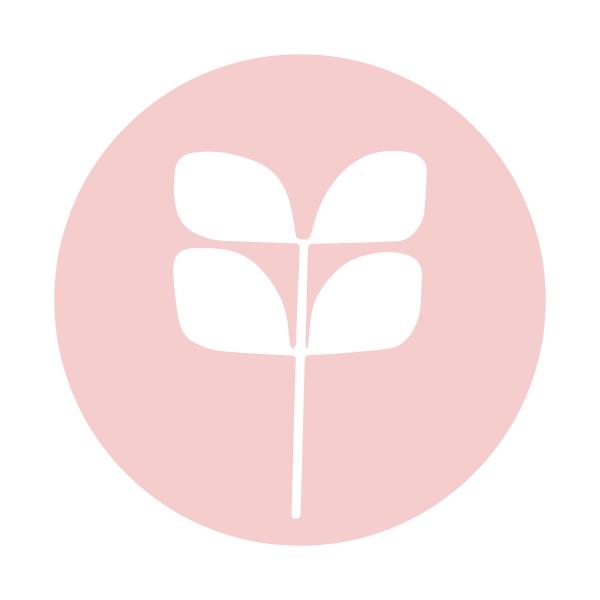 Leanne's Dash Shoppe by Red Aspen
