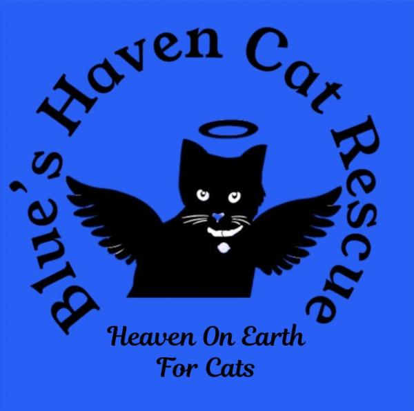 Blue’s Haven Cat Rescue