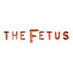 The Fetus LLC