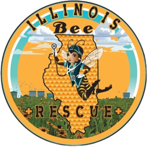 Illinois Bee Rescue