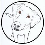 Sunny Days Designs LLC