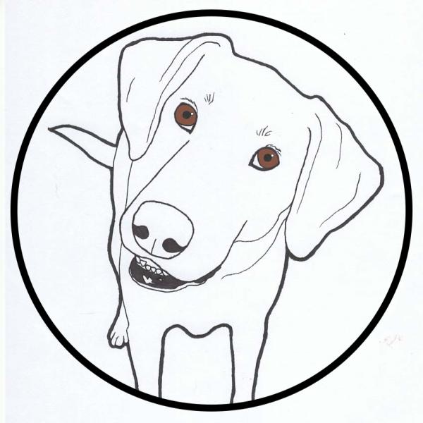 Sunny Days Designs LLC