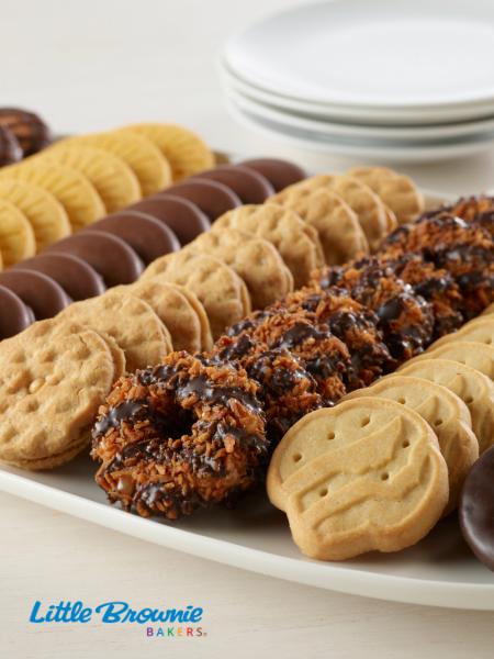 Girl Scout Troop 67307 and 66441