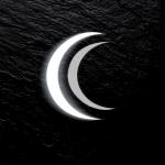 Cryptic Creations