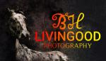 B H Livingood Photography