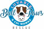 Bull luv able Paws Rescue