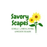 Savory Scapes