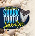 Myrtle Beach Shark Tooth Adventure