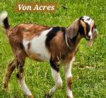 Von Acres