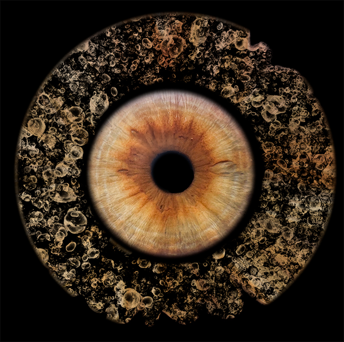 Iris Photo - One Eye picture