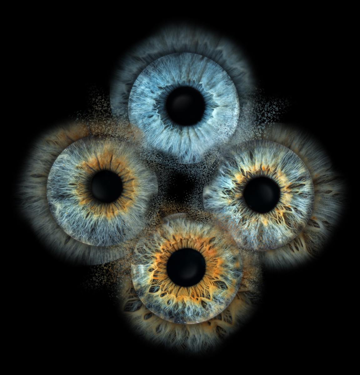 Iris Photo - One Eye picture