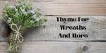 Thyme For Wreaths And More