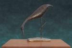 Egretta
