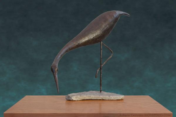Egretta
