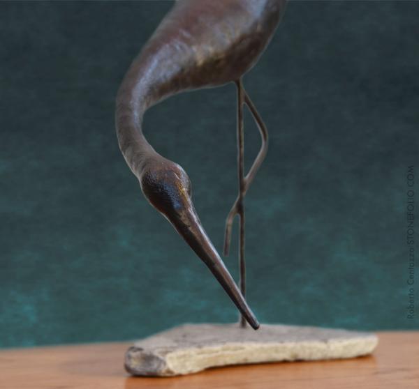 Egretta picture