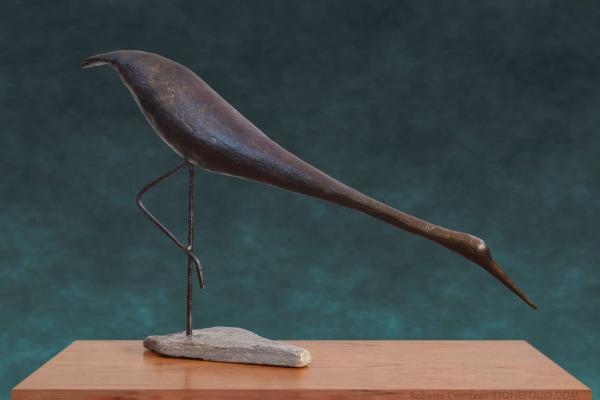 Egretta picture