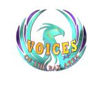 VOICES of the Bay Area