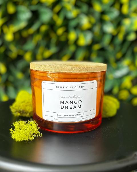 Mango Dream 16oz