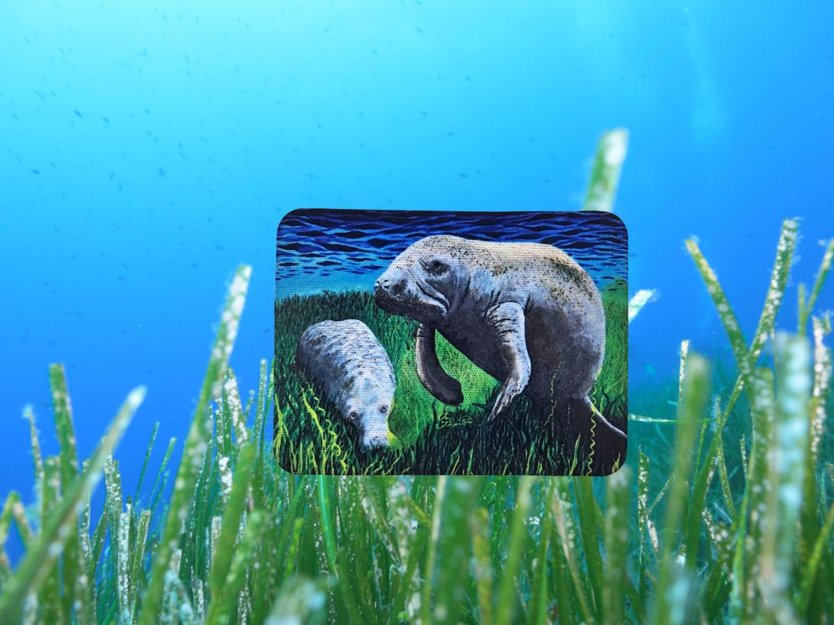 Munching Manatees Magnet picture