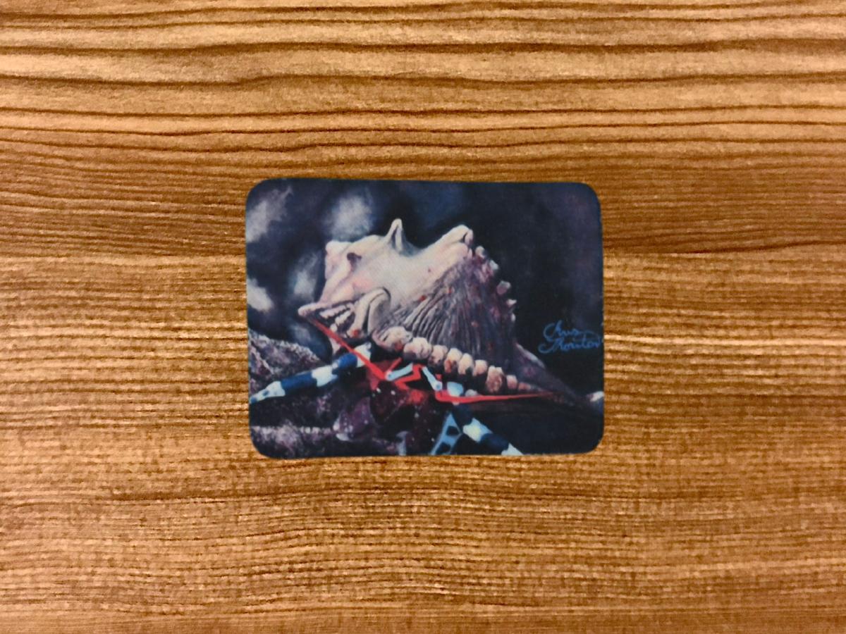 Shelly the Hermit Crab Magnet picture