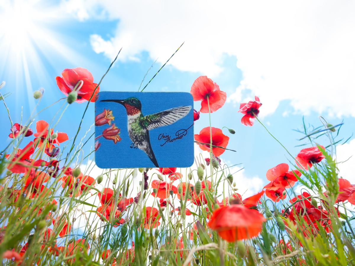 Rhonda the Ruby-throated Hummingbird Magnet picture
