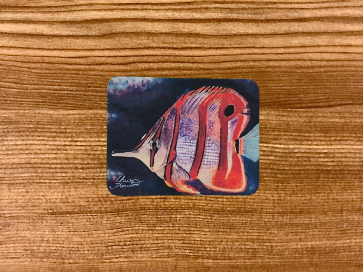 Orange Butterfly Fish Magnet picture