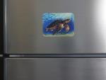 Layla the Loggerhead Sea Turtle magnet
