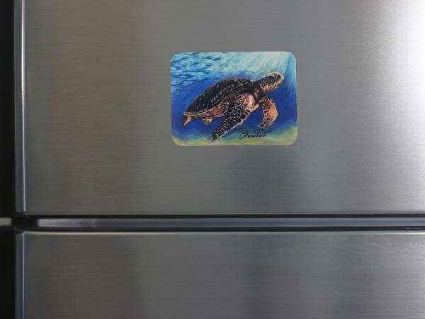 Layla the Loggerhead Sea Turtle magnet