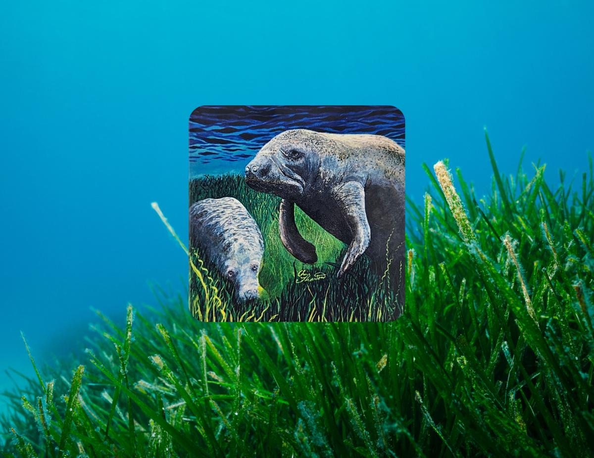 Munching Manatees Ceramic Coaster picture