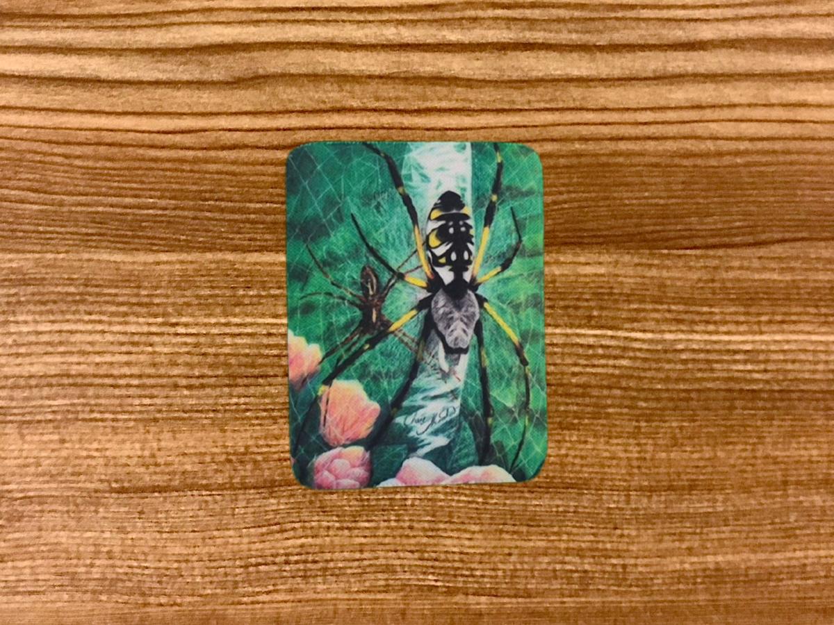 Grace the Garden Spider Magnet picture