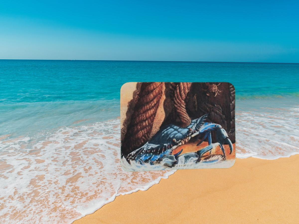 Buster the Blue Crab Magnet picture