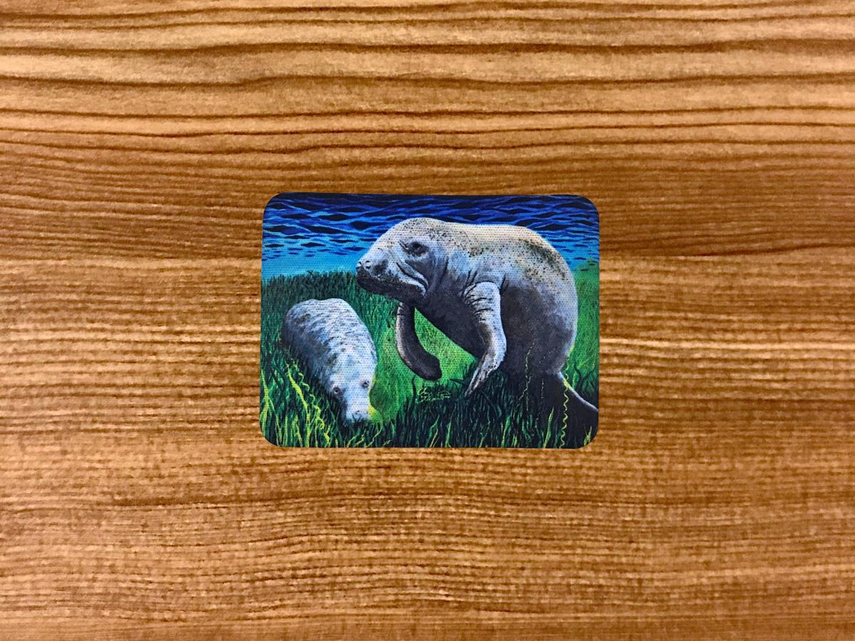 Munching Manatees Magnet picture