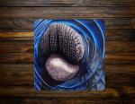 Mischievous Manatee Ceramic Coaster