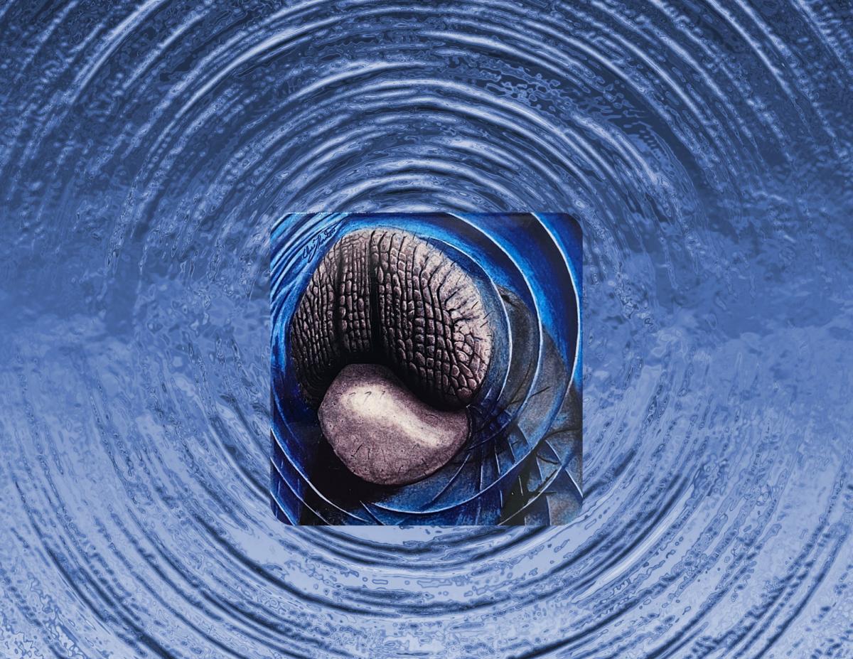 Mischievous Manatee Ceramic Coaster picture