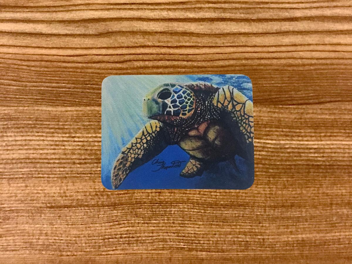 Juan the Loggerhead Sea Turtle Magnet picture