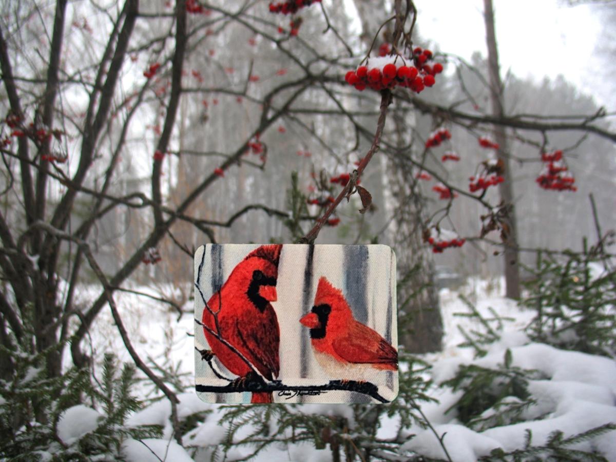 Confident Cardinals in the Snow Magnet picture