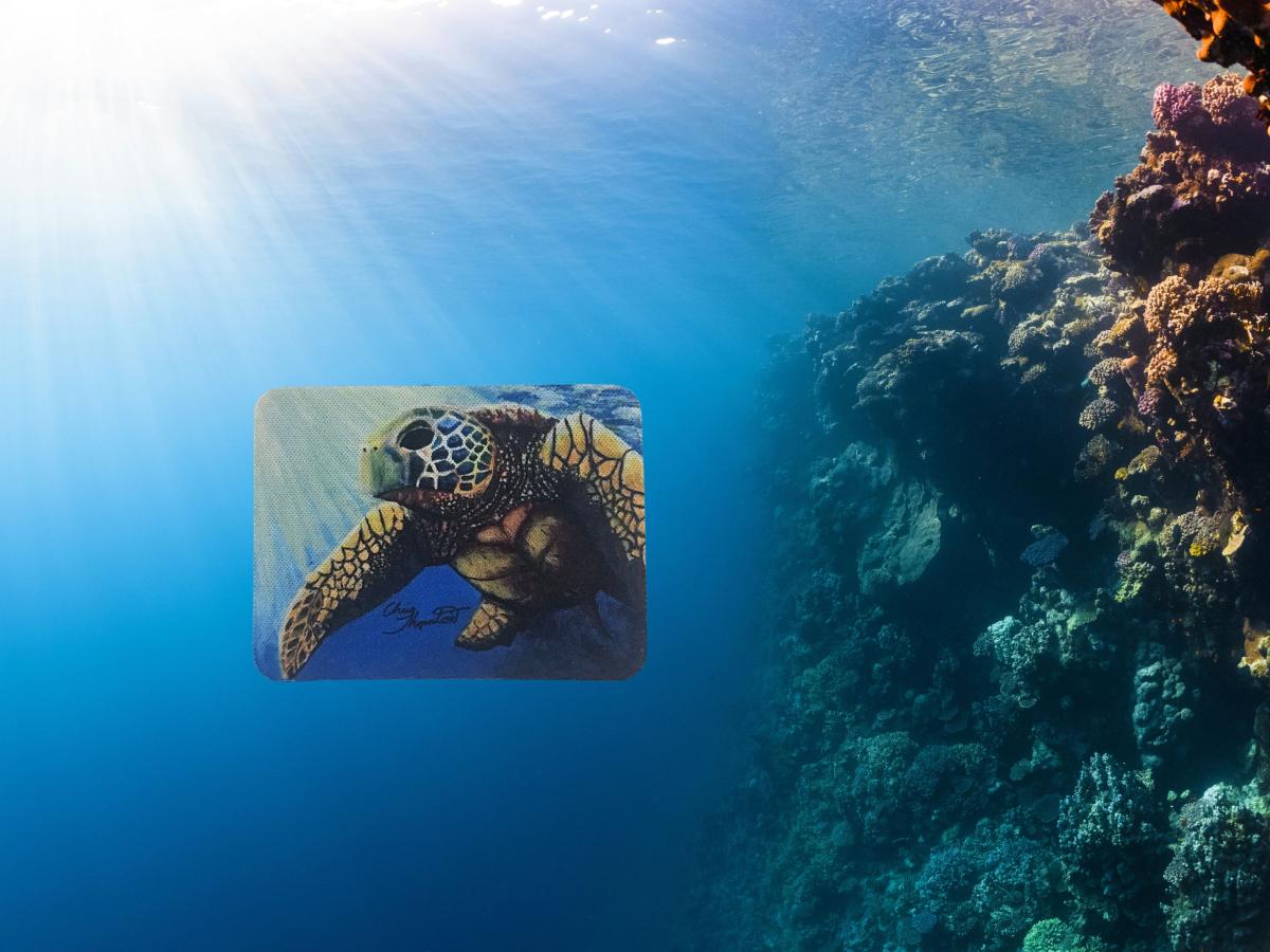 Juan the Loggerhead Sea Turtle Magnet picture
