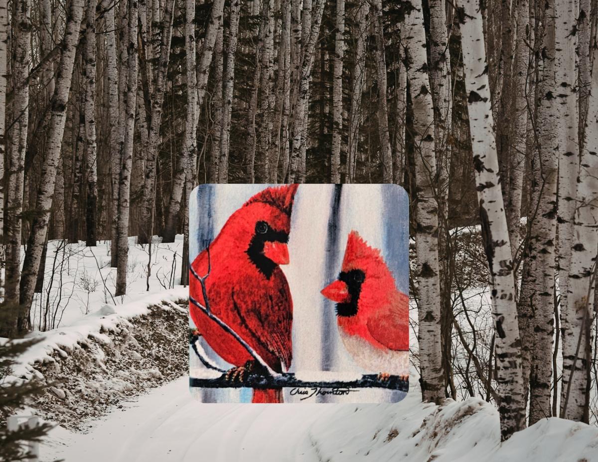 Confident Cardinals in the Snow Ceramic Coaster picture