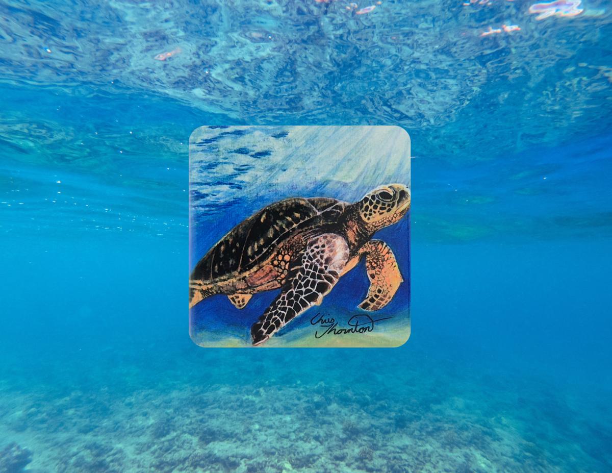 Layla the Loggerhead Sea Turtle Ceramic Coaster picture