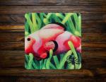 Clownfish In Green Ceramic Coaster