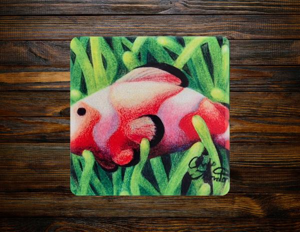 Clownfish In Green Ceramic Coaster