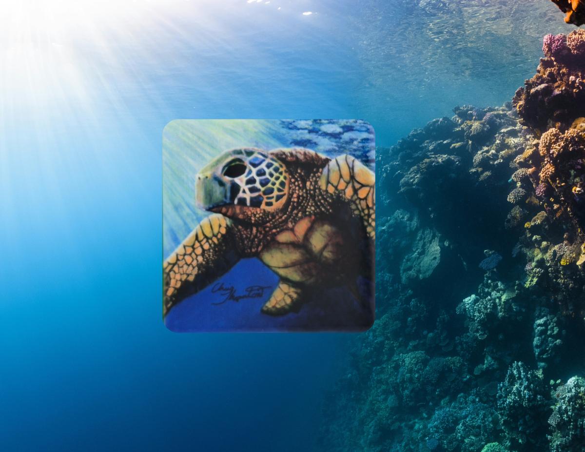 Juan the Loggerhead Sea Turtle Ceramic Coaster picture