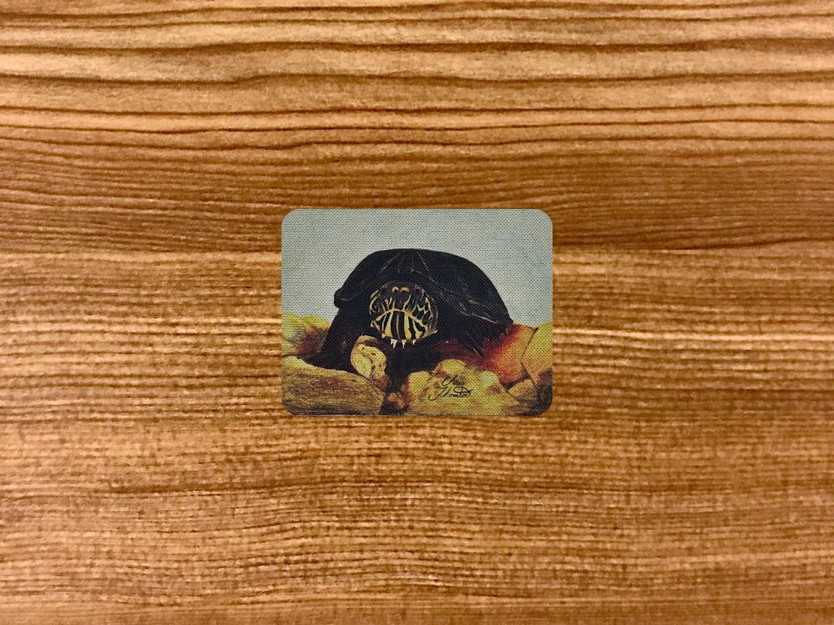 Chewy the Mud Turtle Magnet picture