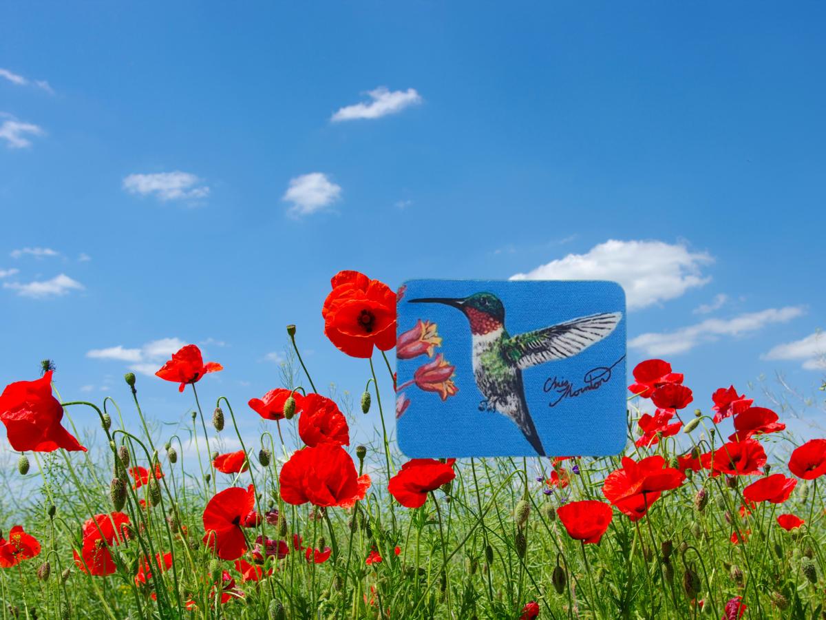 Rhonda the Ruby-throated Hummingbird Magnet picture