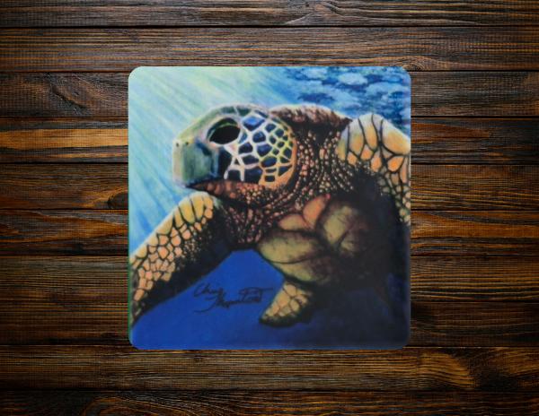 Juan the Loggerhead Sea Turtle Ceramic Coaster