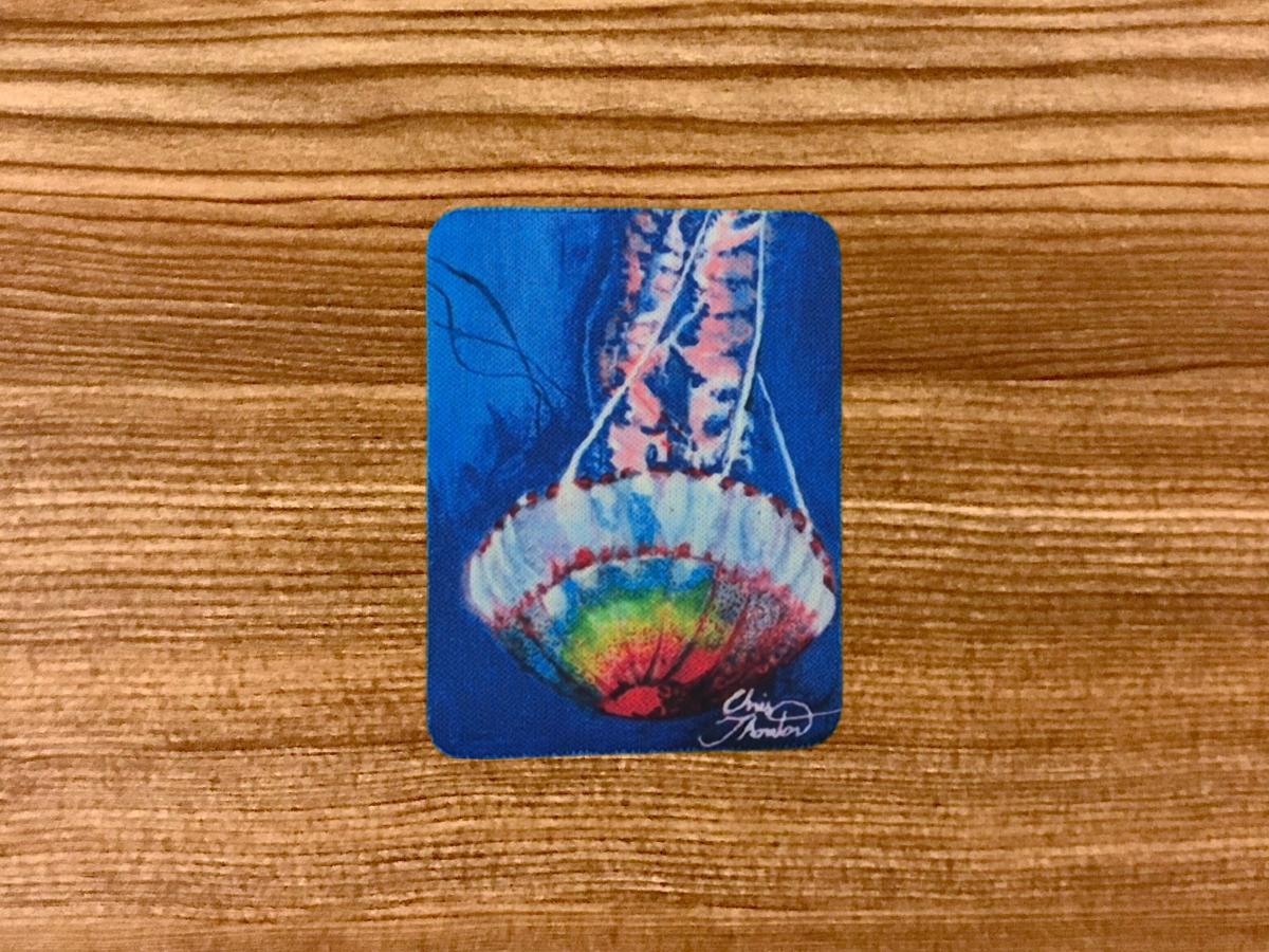 Jellyfish in the Deep Magnet picture