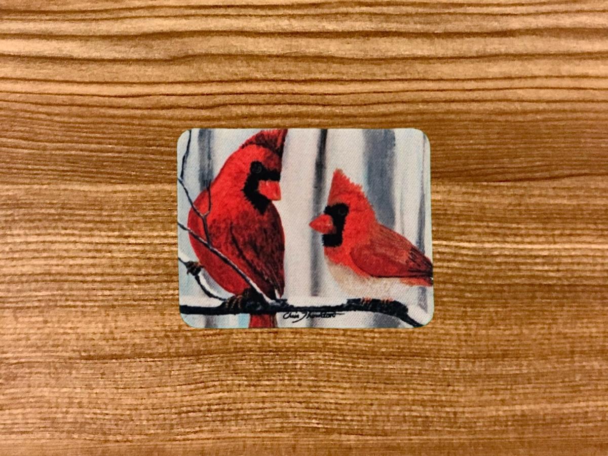Confident Cardinals in the Snow Magnet picture