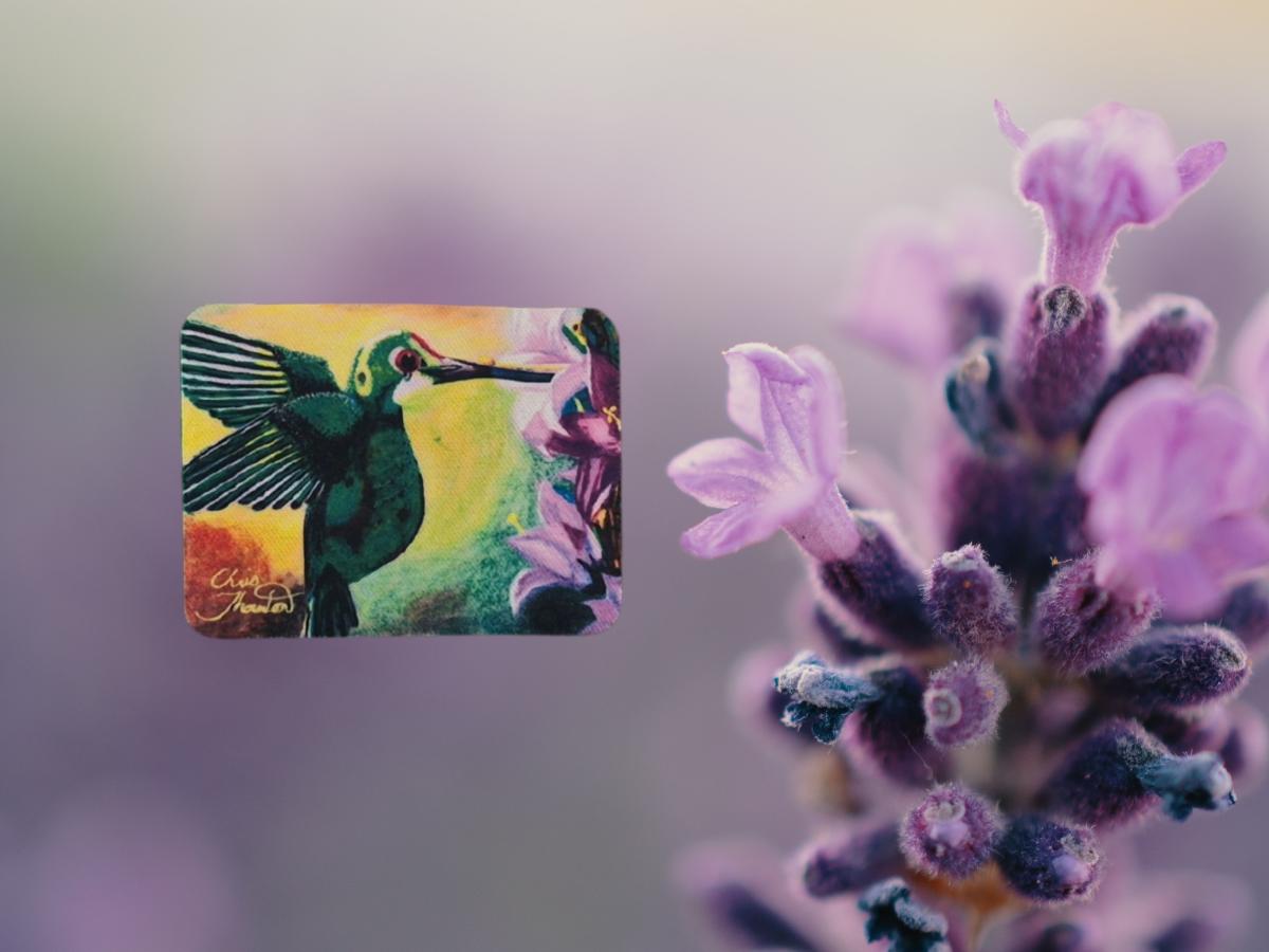 Green Hummingbird Magnet picture